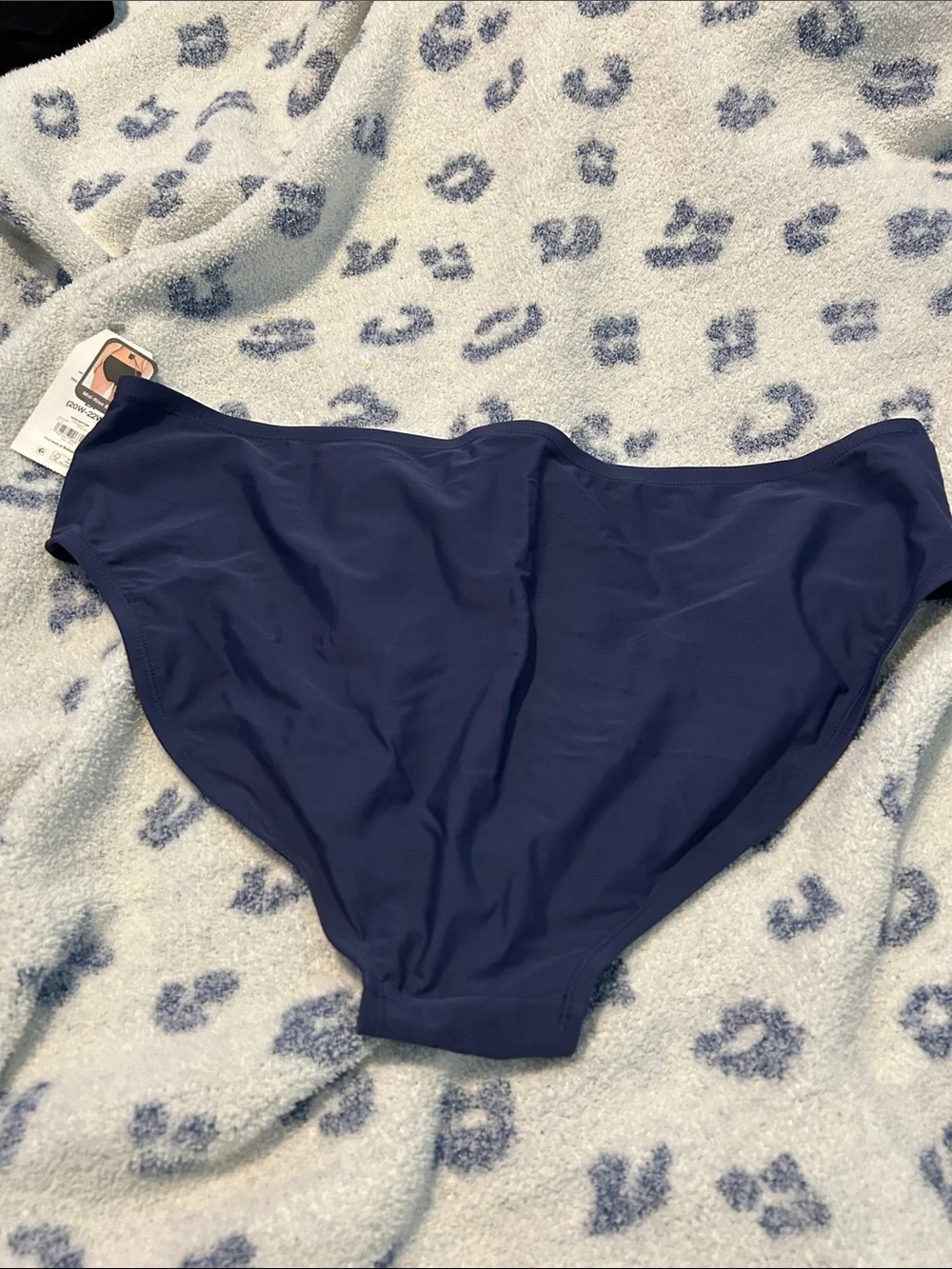 Time and Tru Navy Bikini Brief